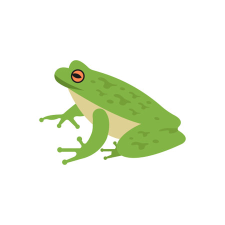 frog Vector illustration on a transparent background. Premium quality symbols.  Icons for concept...