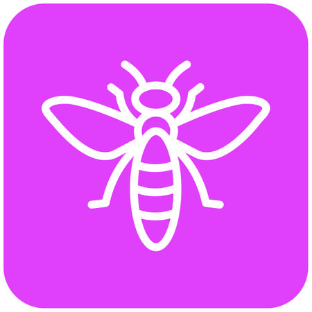 Insect Vector Icon Design Illustrationのイラスト素材