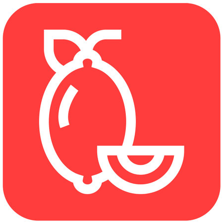 Lemon Vector Icon Design Illustrationのイラスト素材