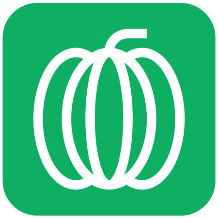 Pumpkin Vector Icon Design Illustrationのイラスト素材