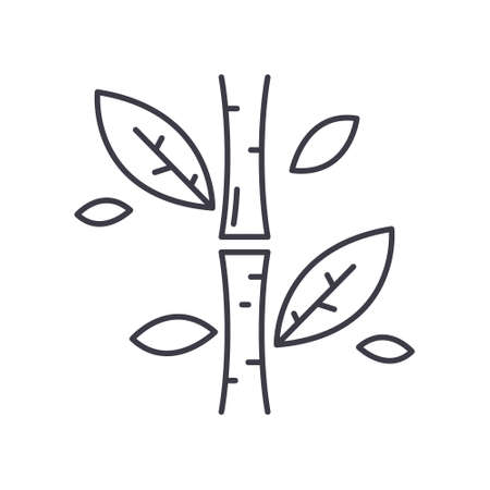 Bamboo icon, linear isolated illustration, thin line vector, web design sign, outline concept symbol with editable stroke on white background.のイラスト素材