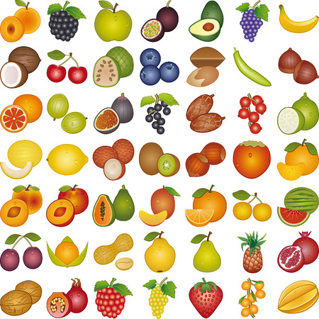 Fruits of the worldのイラスト素材