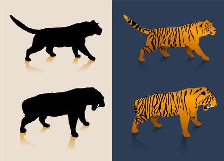 Black and white tiger silhouettes and color imagesのイラスト素材