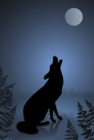 Wild wolf / coyote howling at the full moonのイラスト素材