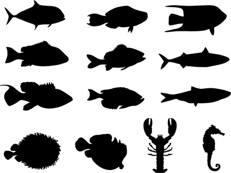 Original Illustration: Fish and sea life silhouettes
AI8 compatible
の写真素材