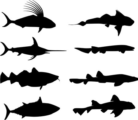 Original Illustration: Large fish and marine life silhouettes
AI8 compatible
の写真素材