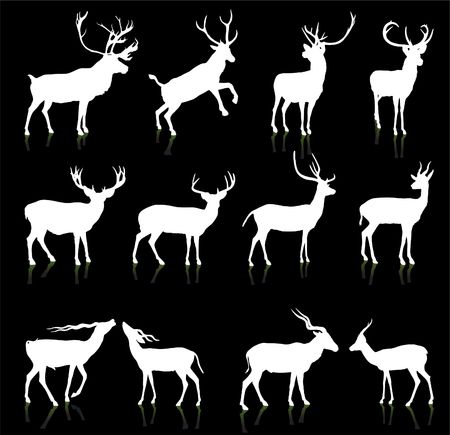 Deer Silhouette Collection
Original Vector Illustrationの写真素材