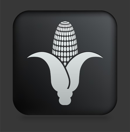 Corn Icon on Square Black Internet ButtonOriginal Illustrationの写真素材
