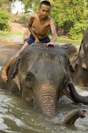 a boy riding an elephantのeditorial素材