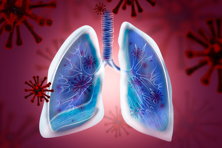 Illustration of human lungs infected with Coronavirus. 3d Rendering
