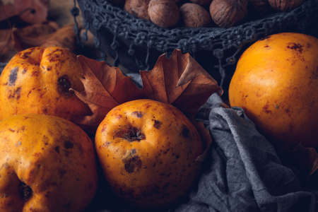 Still life of fifteen on a black background. Dark food. Concept of slow and healthy food. Autumn-winter seasonal mealの写真素材