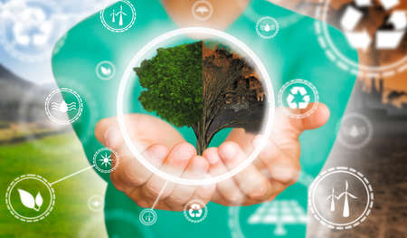 Man's hands holding a half-living, half-dry tree with renewable energy symbol. Environmental biodiversity in ecosystem concept. Backdrop as a concept of energy efficiency. The power of green energy. Concept of renewable energiesの写真素材