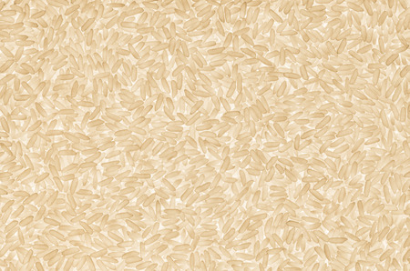 Rice grains texture with backlightの写真素材