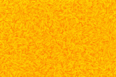 Rice grains texture tinted in yellowの写真素材