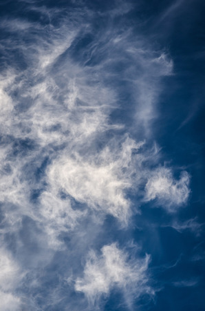 White clouds on the blue sky   の写真素材