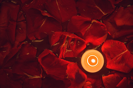Candle and rose petals in water backgroundの写真素材