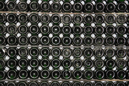 Racks with bottles in a dark wine cellar