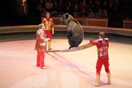 MOSCOW, RUSSIA - NOVEMBER 27: The presentation of the "Golden Buff". Trained bear of the Moscow State Circus on November 27, 2011 in Moscow, Russiaのeditorial素材