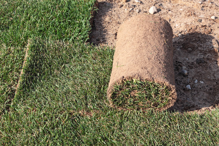 The grass in rolls for laying on the lawn for landscapingの写真素材