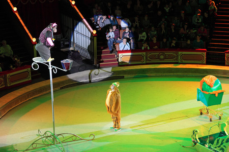 MOSCOW, RUSSIA - JAN 1: The New year's show in the Moscow State Circus. The trained monkey of the Moscow State Circus on January 1, 2012 in Moscow, Russiaのeditorial素材
