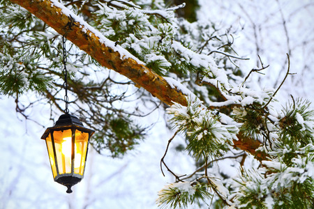 The old-fashioned lantern hanging at the winter branch of pine trees, the snowの写真素材
