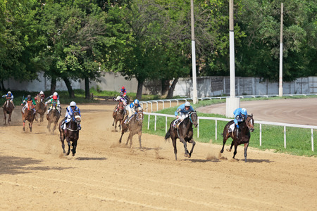 MOSCOW, RUSSIA - JUL 07: The races for the prize of the President of the Russian Federation on Jul 07, 2012 in Moscowのeditorial素材