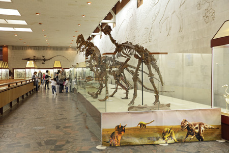 Russia, interior of Moscow Paleontological Museum, the dinosaur skeletons.のeditorial素材
