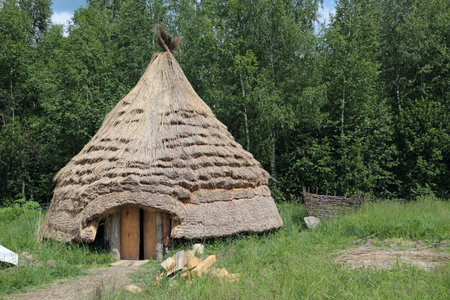 Medieval house with a thatched roof on the edge of the forestのeditorial素材