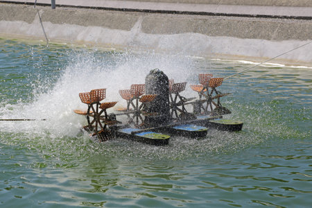 Aerator - a device for water oxygenation in an artificial pond for breeding fish