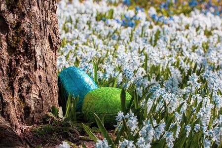 Colorful traditional swedish easter eggs, laying outside on field of white spring flowers. Egg treasure huntの写真素材