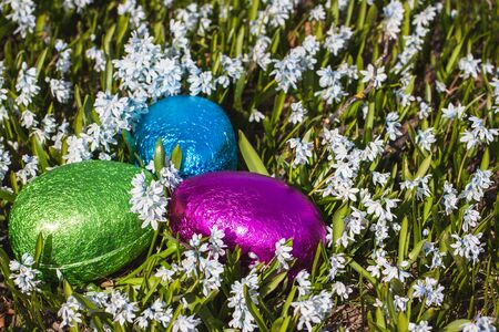 Colorful traditional swedish easter eggs, laying outside on field of white spring flowers. Egg treasure huntの写真素材