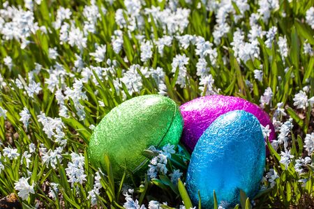 Colorful traditional swedish easter eggs, laying outside on field of white spring flowers. Egg treasure huntの写真素材