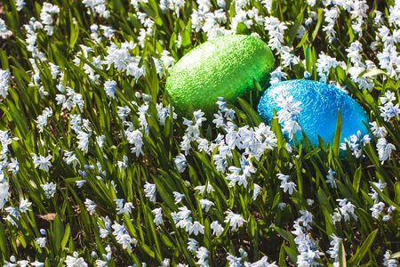 Colorful traditional swedish easter eggs, laying outside on field of white spring flowers. Egg treasure huntの写真素材