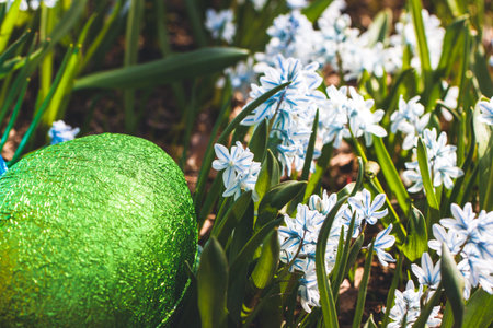 Colorful traditional swedish easter eggs, laying outside on field of white spring flowers. Egg...