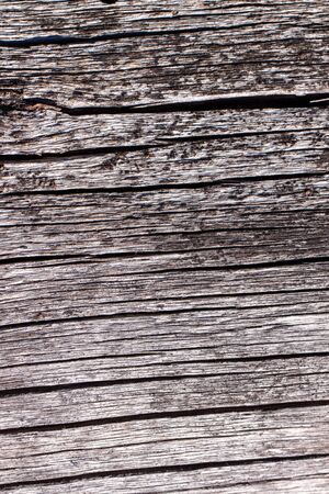 Natural wood texture. Old tree trunk with different texturesの写真素材