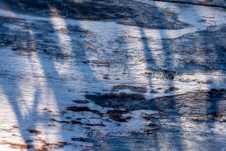 Birch tree stem background with bark. Light and shadows, silhouette of leaves Natural wood texture.の写真素材