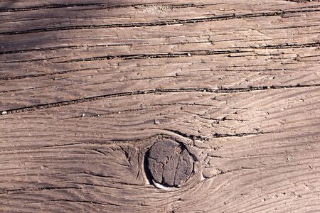 Natural wood texture. Old tree trunk with different texturesの写真素材