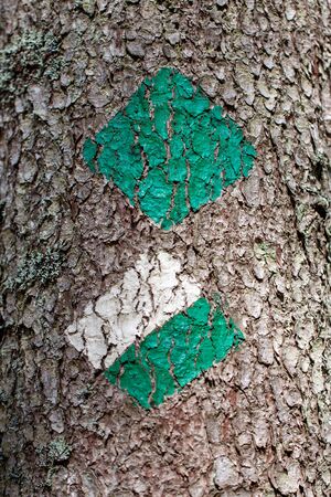 Green and white trail marker painted on a tree for hikers and tourists on a hiking trail - close upの写真素材