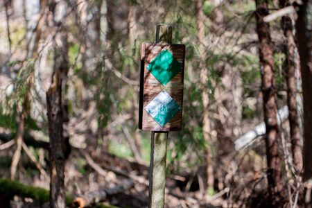 Green and white trail marker painted on a tree for hikers and tourists on a hiking trail - close upの写真素材