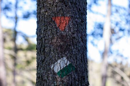 Close-up of green, white and orange trail markers painted on a tree for hikers and tourists on a hiking trailの写真素材