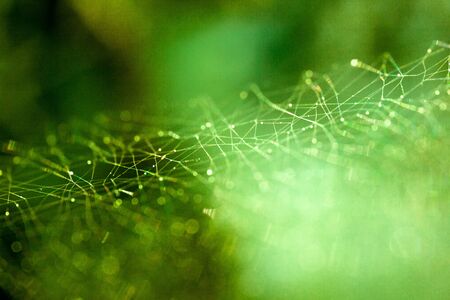 Abstract background image with connection of dots on a colorful background - greenの写真素材