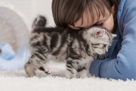 Friendship of a young girl and a little tabby kittenの写真素材