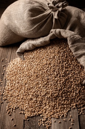 Bags and scattered grain on old boardsの写真素材