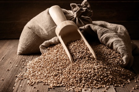 Bags and scattered grain on old boardsの写真素材