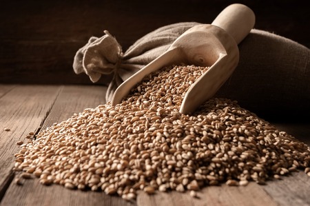 Bags and scattered grain on old boardsの写真素材