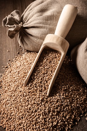 Bags and scattered grain on old boardsの写真素材