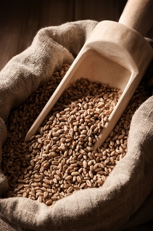 Bag with wheat and dustpanの写真素材