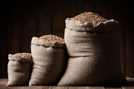 Grain of the wheat in bags on a wooden plank floorの写真素材