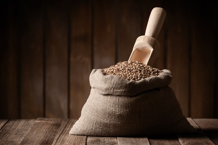 Bag with wheat and dustpanの写真素材