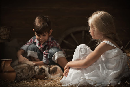 Boy and girl young kittens fed milk in a rustic barnの写真素材